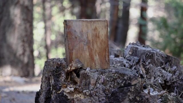 Axe, wood, splitting, firewood, - MountainDweller