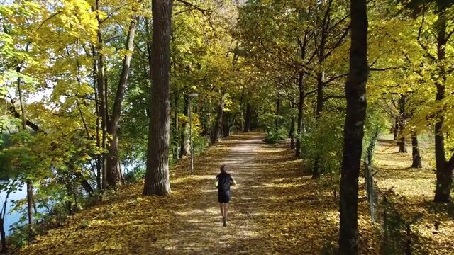 Jog, path, road, fall, autumn -  madfor