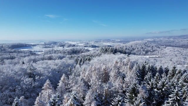 Nature, trees, forest, snow, winter - agentluca
