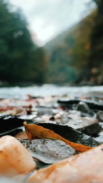 River, forest, mountains - Marsel_beijing
