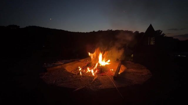 Fire, sparks, forest